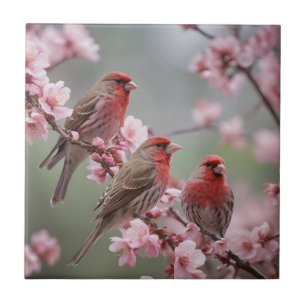 "Scarlet Trio: Red Finches Among Pink Blossoms" Tile
