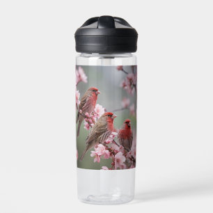 "Scarlet Trio: Red Finches Among Pink Blossoms" Water Bottle