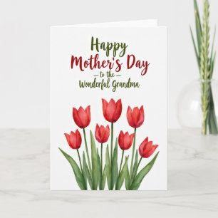 Scarlet Tulip Mother Card