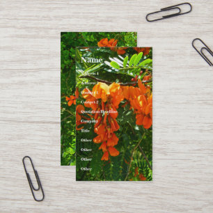 Scarlet Wisteria (Sesbania punicea) Business Card