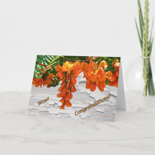 Scarlet Wisteria (Sesbania punicea) Congratulation Card
