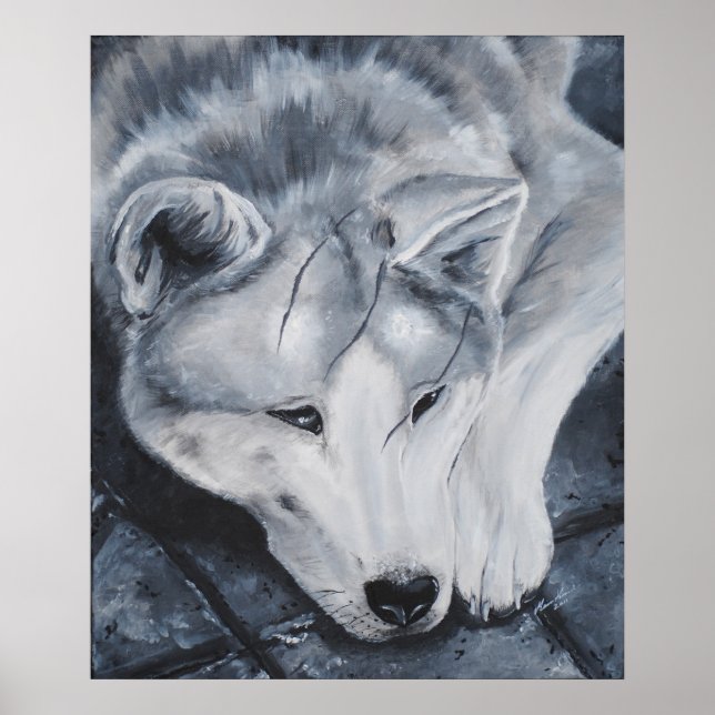 Scars of the past poster (Front)