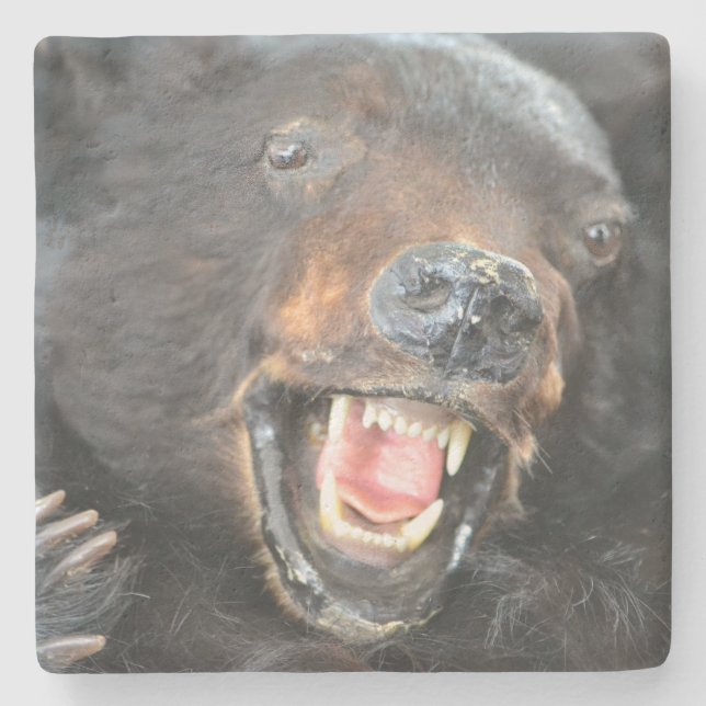 Scary Bear Stone Coaster (Front)