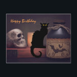 Scary Black Cat and Skull Halloween Happy Birthday Postcard<br><div class="desc">This Halloween Happy Birthday postcard features a scary black cat and spooky skull with a potion bottle.  The greeting can be modified...  Back Greeting ~ Wishing you a very Happy Birthday!   Hope it makes you want to hiss and scream. *</div>