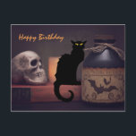 Scary Black Cat and Skull Halloween Happy Birthday Postcard<br><div class="desc">This Halloween Happy Birthday postcard features a scary black cat and spooky skull with a potion bottle.  The greeting can be modified...  Back Greeting ~ Wishing you a very Happy Birthday!   Hope it makes you want to hiss and scream. *</div>