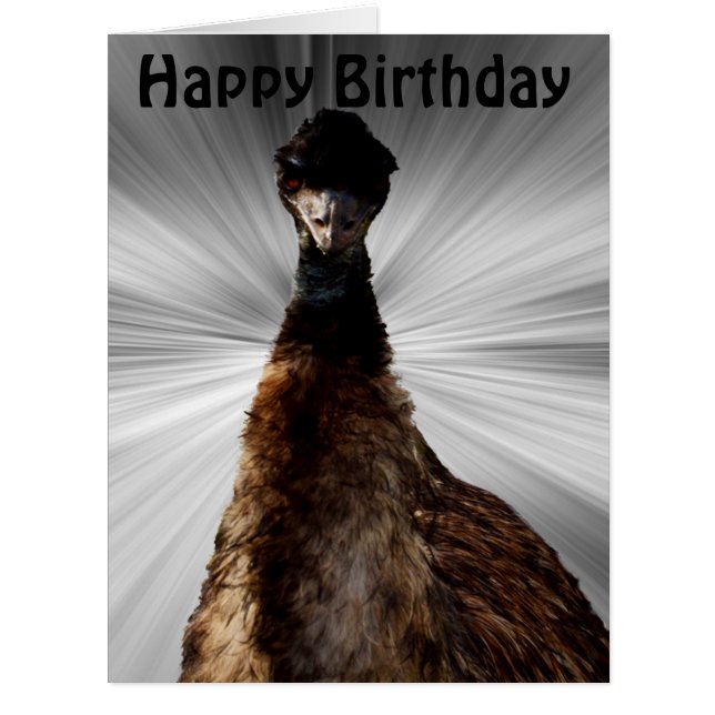 Scary Emu Stare Down, Jumbo Birthday Card (Front)