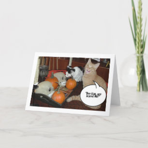 Scary Halloween Cats Card