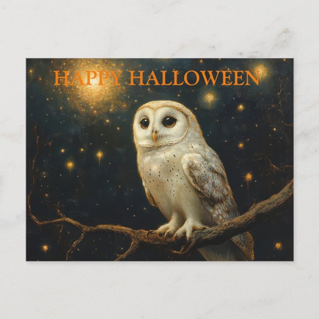 Scary Halloween Night with Owls Postcard (Front)