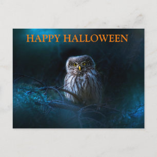 Scary Halloween Night with Owls Postcard