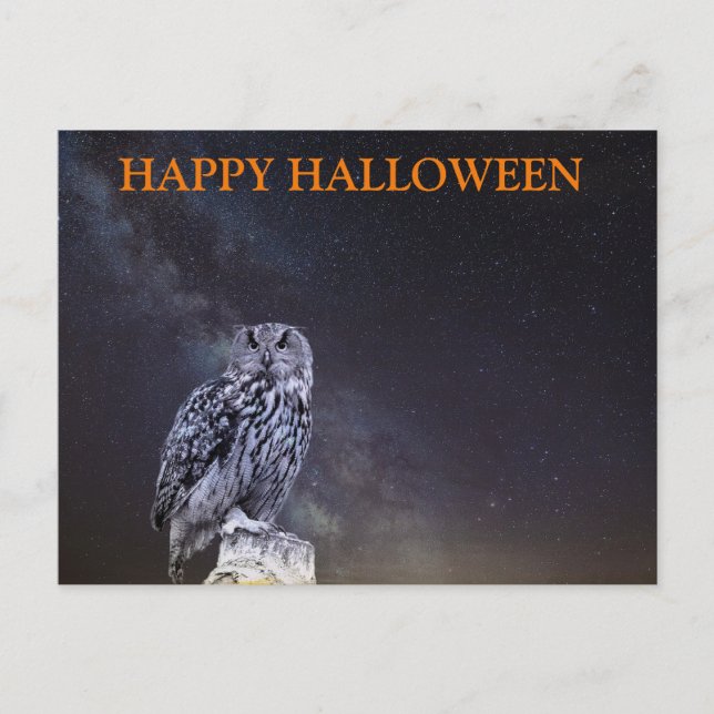 Scary Halloween Night with Owls Postcard (Front)