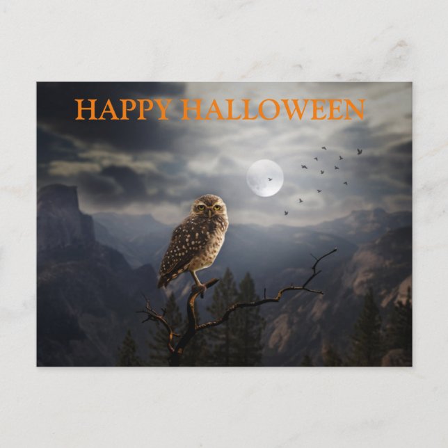 Scary Halloween Night with Owls Postcard (Front)