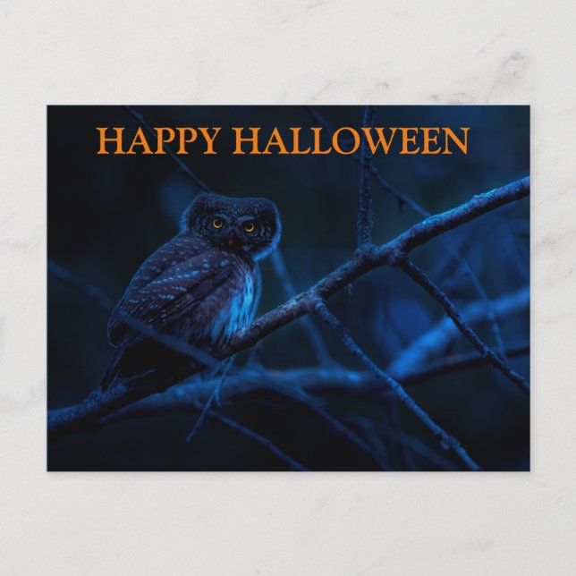 Scary Halloween Night with Owls Postcard (Front)