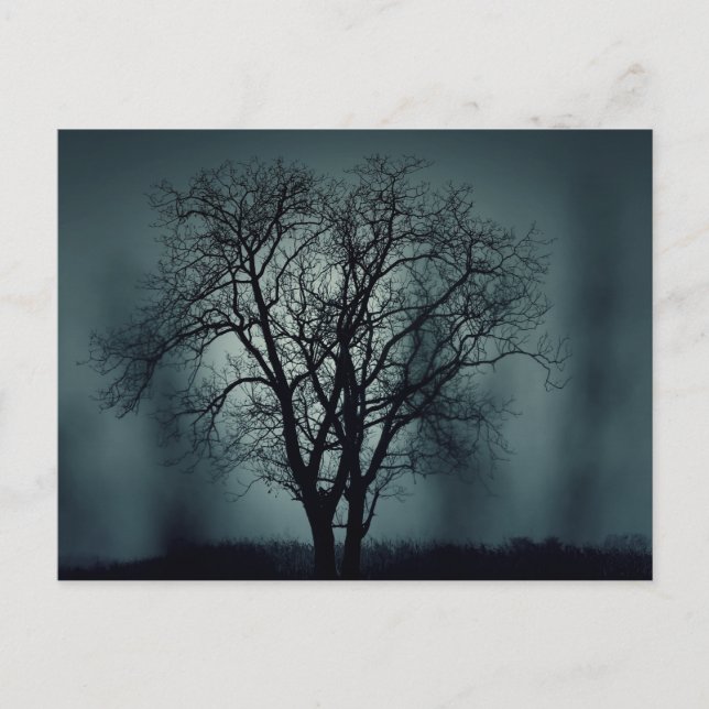 Scary Halloween Night with Raven Crow Postcard (Front)