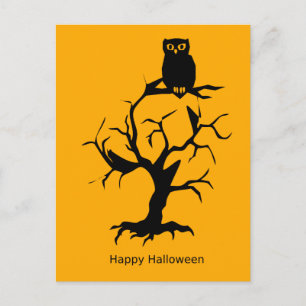 Scary Halloween Night with Witch Owl Bats Postcard