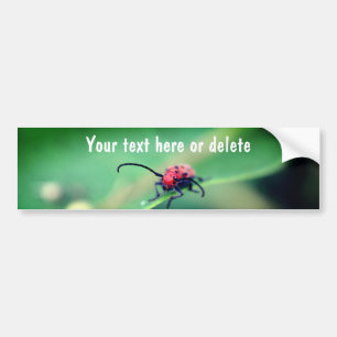 Scary Red Spotted Beetle Nature Personalised Bumper Sticker