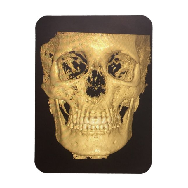 Scary Skull Magnet (Vertical)