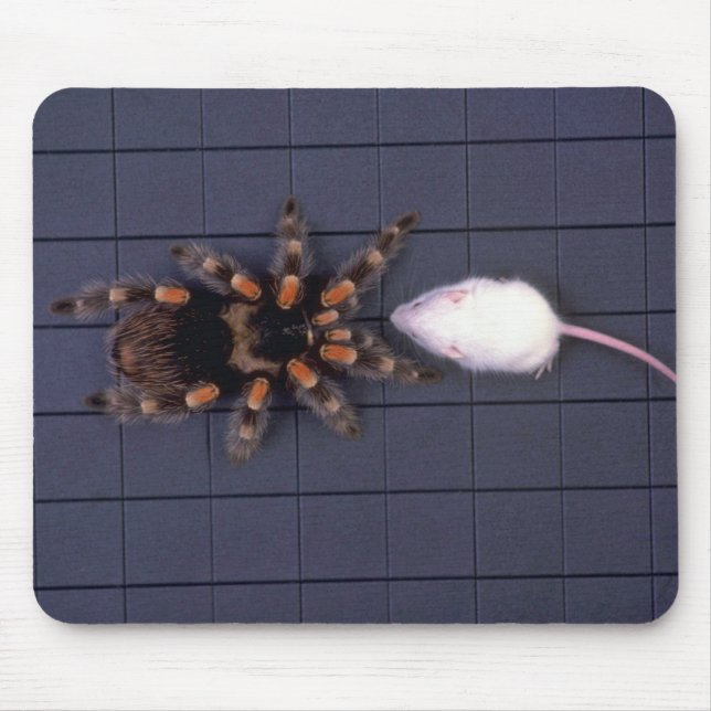 Scary Tarantula spider and white mouse Pad (Front)