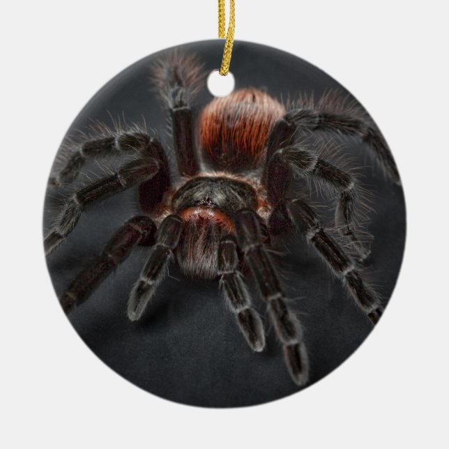 Scary Tarantula Spider Arachnophobia Ceramic Tree Decoration (Front)