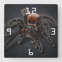 Scary Tarantula Spider Arachnophobia