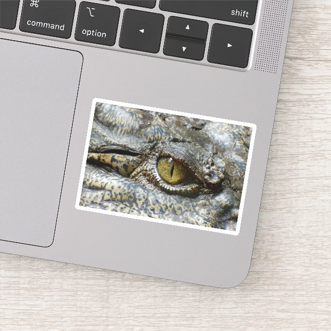 Scary Yellow Eye of Crocodile (Detail)