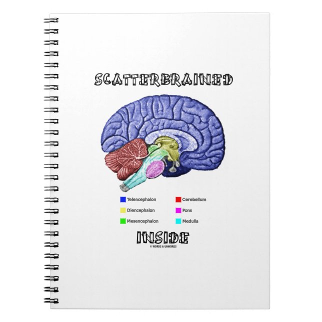 Scatterbrained Inside (Brain Humour) Notebook (Front)