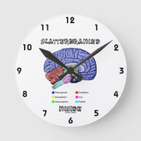 Scatterbrained Inside (Brain Humour)