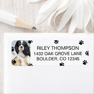 Scattered Black Paws Pet Photo Return Address