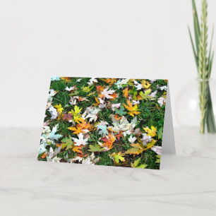 Scattered Leaves Holiday Card