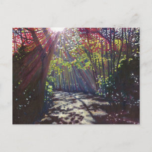 Scattered light 2013 postcard