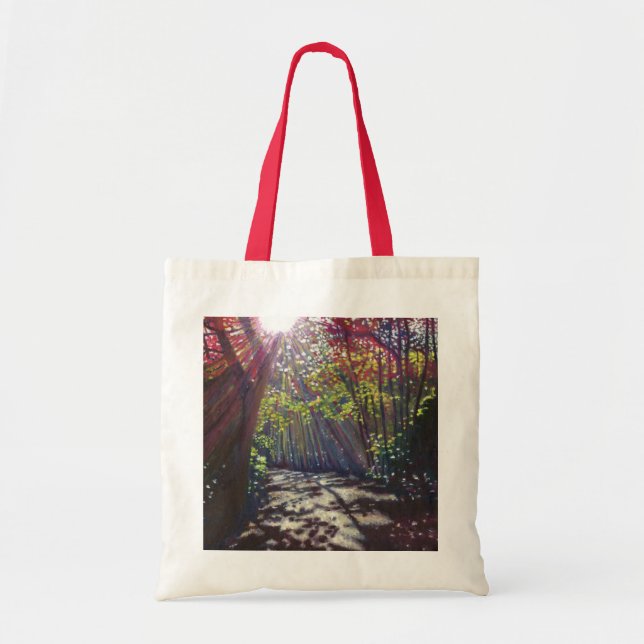 Scattered light 2013 tote bag (Front)