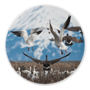 Scattering Geese Ceramic Knob