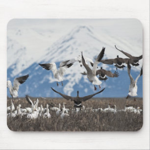 Scattering Geese Mouse Pad