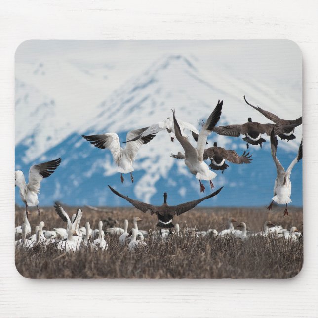 Scattering Geese Mouse Pad (Front)