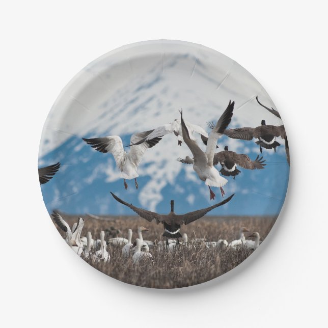 Scattering Geese Paper Plate (Front)