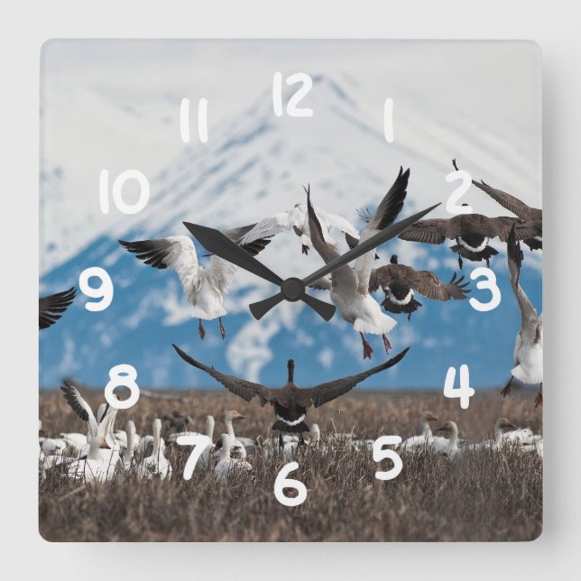 Scattering Geese Square Wall Clock (Front)