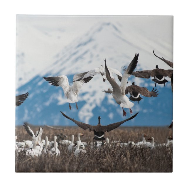 Scattering Geese Tile (Front)