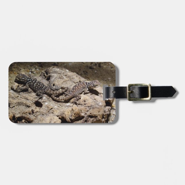 Sceloporus cyanogenys luggage tag (Front Horizontal)