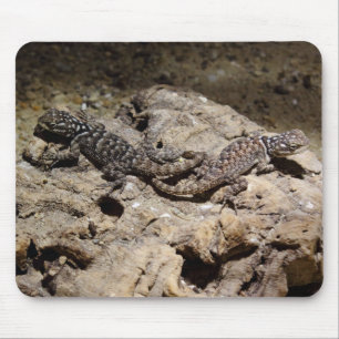 Sceloporus cyanogenys mouse pad
