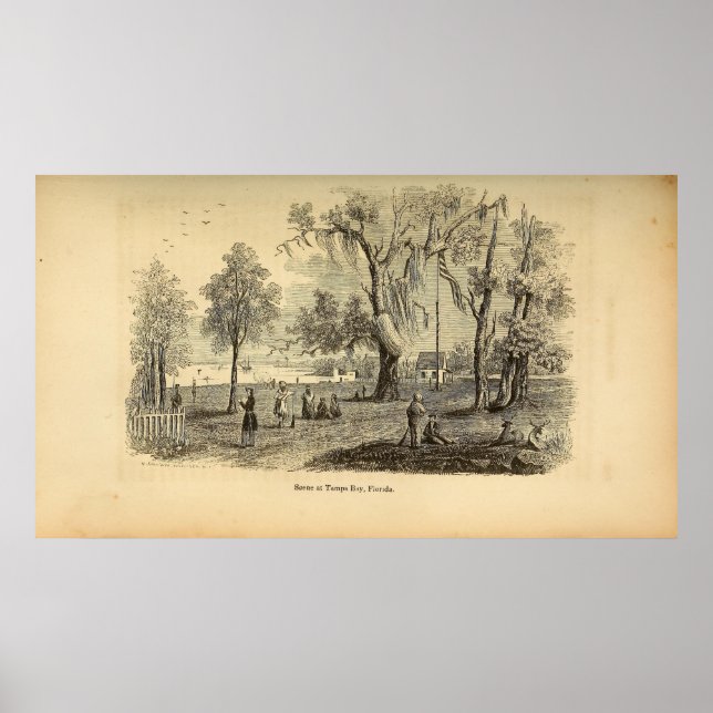 Scene at Tampa Bay Poster (Front)