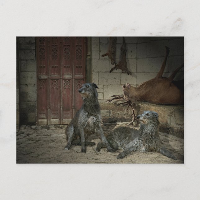 Scène de chasse : le butin (part. 3) postcard (Front)