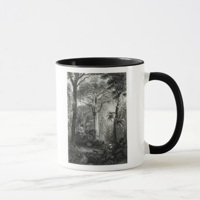 Scene in a Brazilian Forest engraved by Mug (Right)