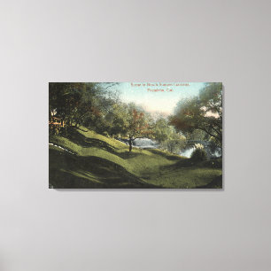 Scene in Busch Sunken Gardens Canvas Print