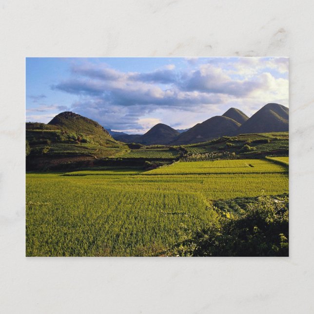 Scenery between Kaili and Qinghai, Guizhou Provinc Postcard (Front)