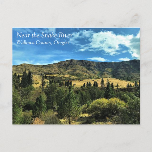 Scenery by the Snake River, OR Postcard (Front)