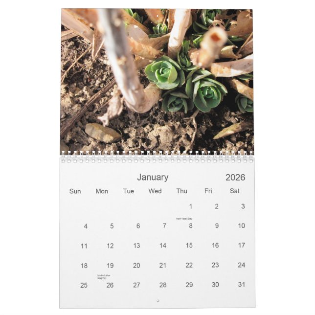 Scenes from Nature in Northeast Ohio for 2014 Calendar (Jan 2026)