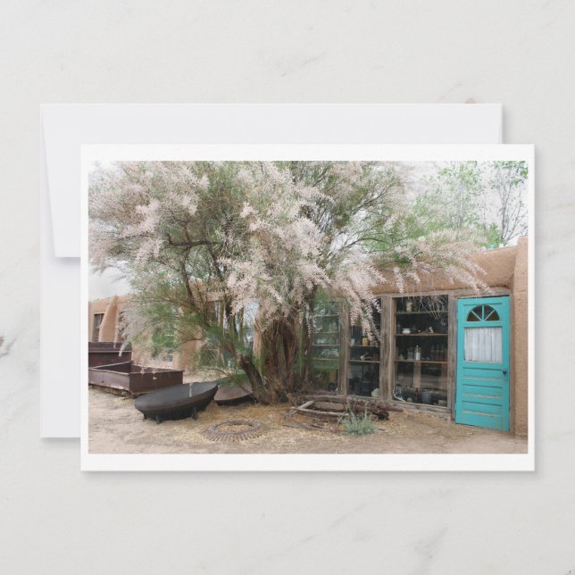 Scenes from New Mexico Invitation (Front)