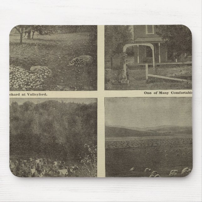 Scenes Inland Empire Mouse Pad (Front)