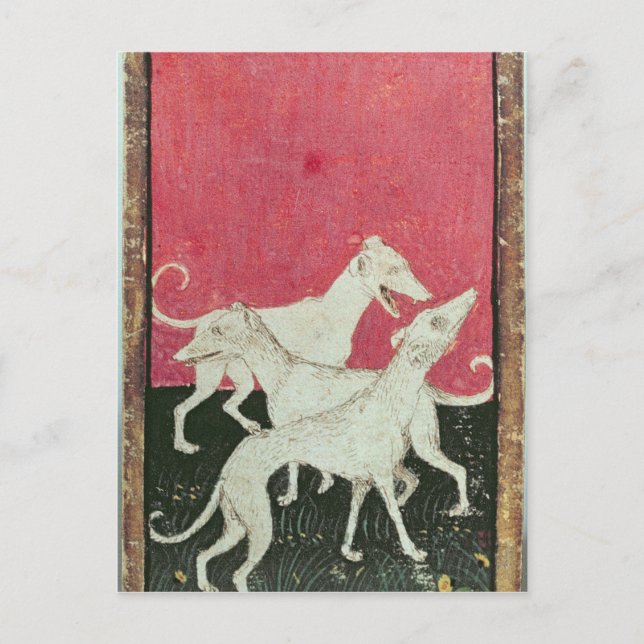 Scenes of courtly hawkin postcard (Front)