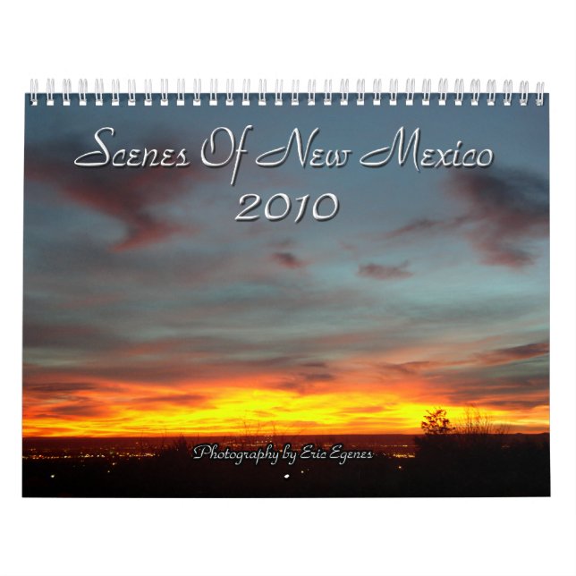 Scenes Of New Mexico 2010 Calendar (Cover)
