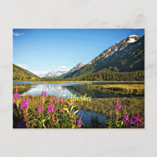 Scenic Alaska, Labelled Postcard (Front)